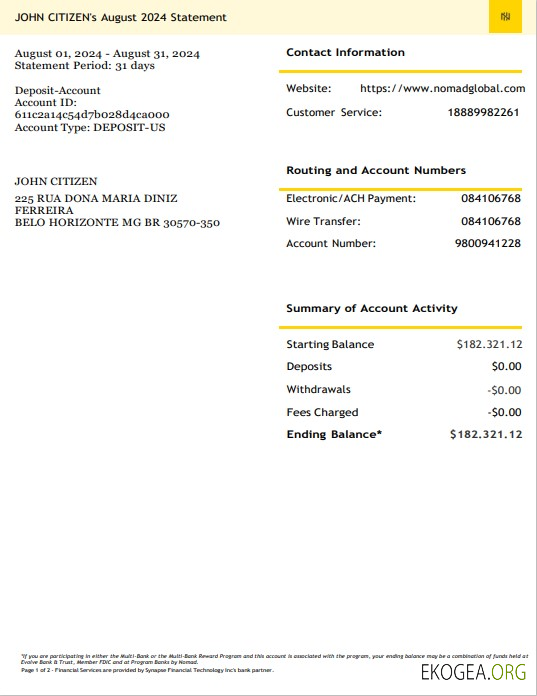 USA Nomad Global relevé bancaire 3 – 6 mois Exemple Word et PDF